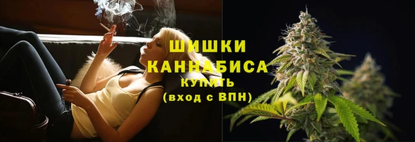 стаф Михайлов