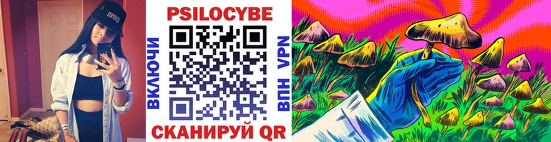 Галлюциногенные грибы Psilocybine cubensis  как найти закладки  omg ссылки  Уржум 
